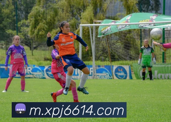 平台使命图